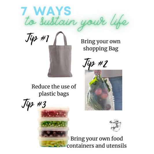 7 Ways to be more Sustainable - Steel Pony