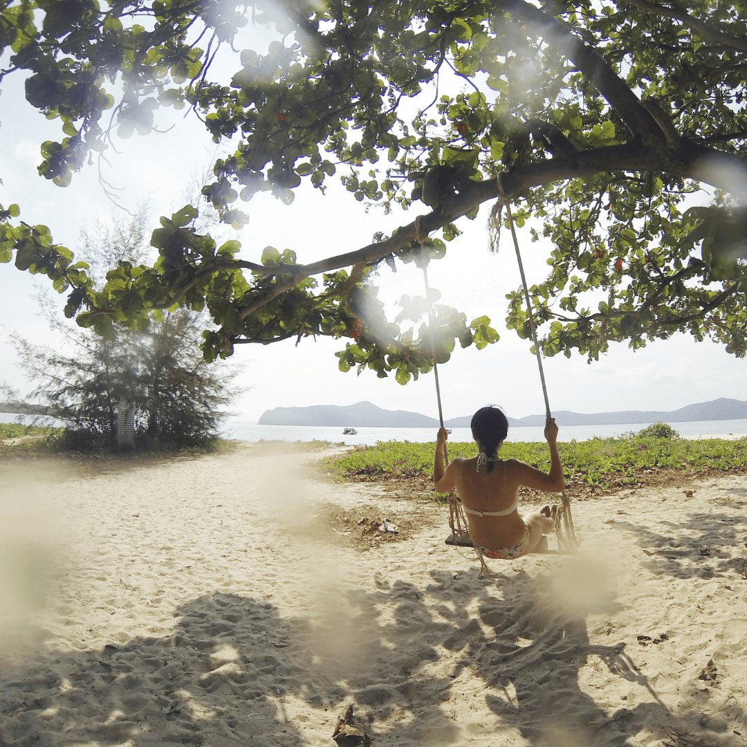 8 Great Summer Leasure Activities - Steel Pony