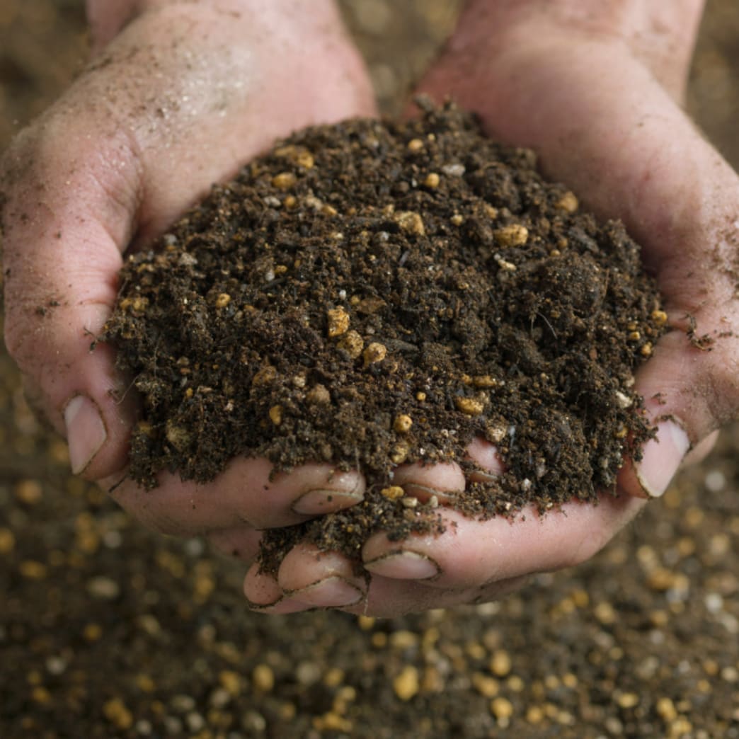 Announcing our NEW partnership with Ucapture - Steel Pony