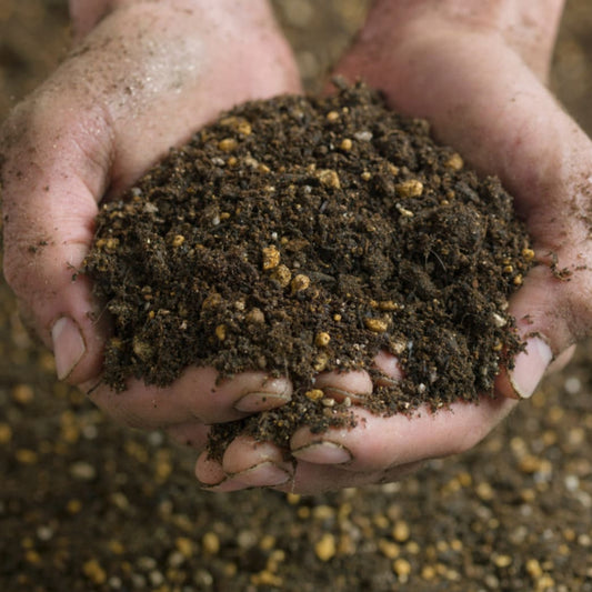 Announcing our NEW partnership with Ucapture - Steel Pony