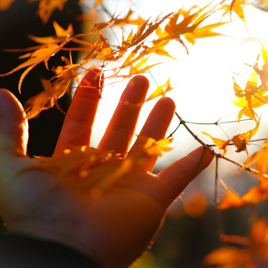 Do you do anything special for the Fall Equionox? - Steel Pony