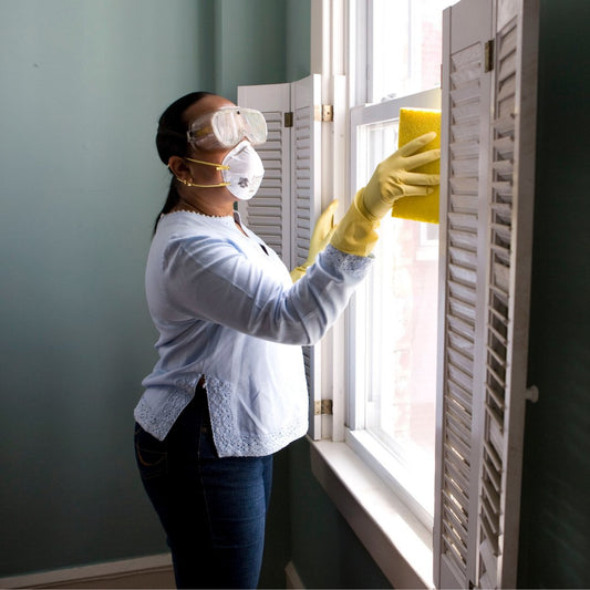 How To Get Rid Of Damp In Your Home - Steel Pony