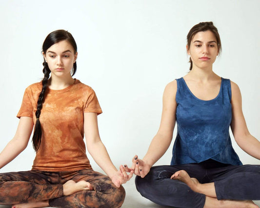 Our brain in Meditation - Steel Pony