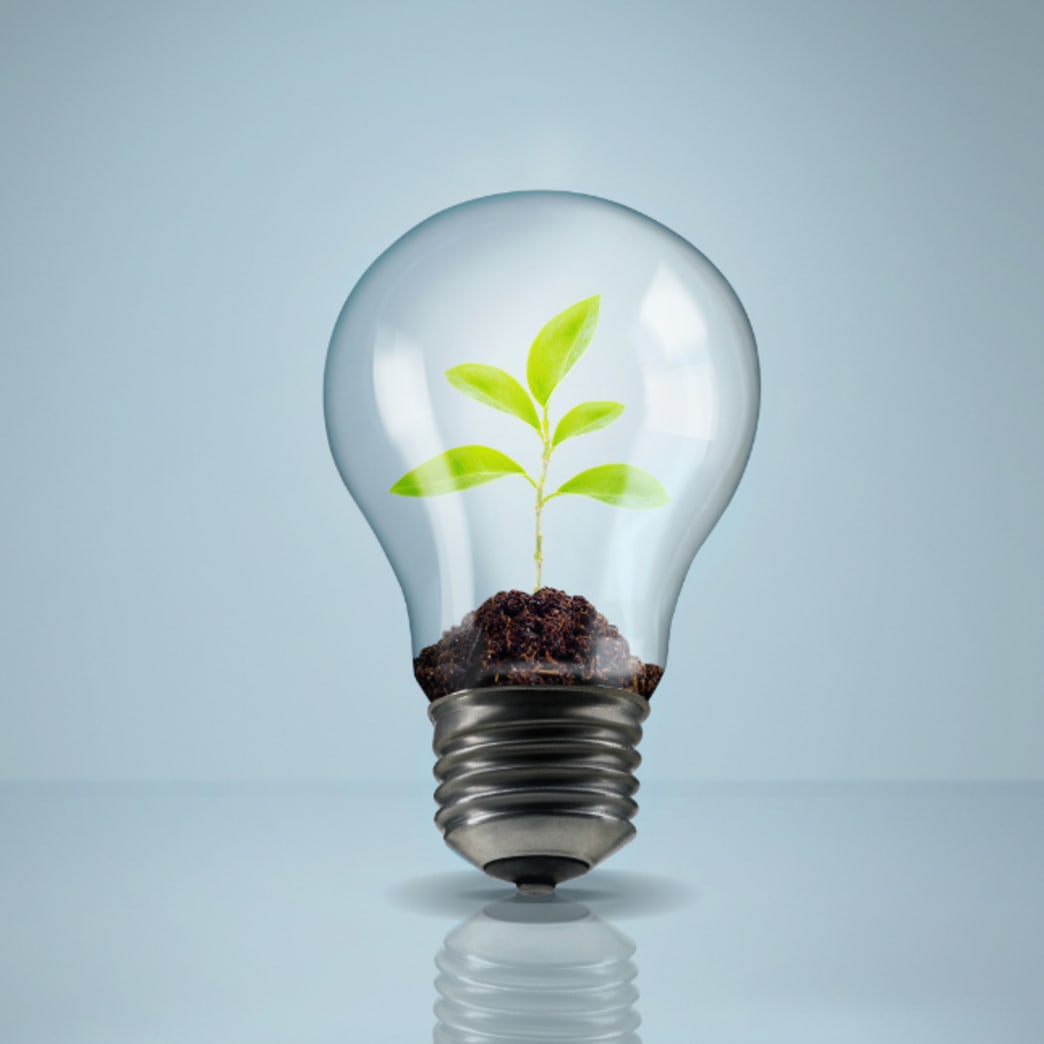 Sustainability as a lifestyle.  Ideas for living it. - Steel Pony