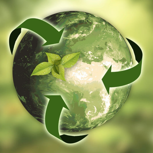 Top 7 Reasons to Shop Green - Steel Pony