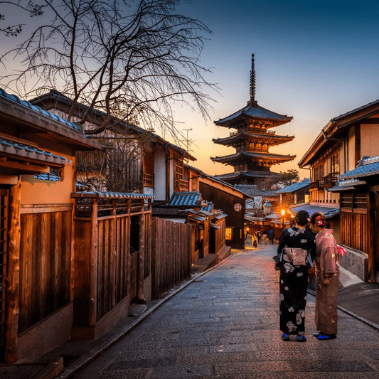 Traveling Light - Steel Pony