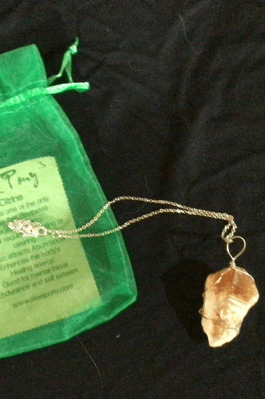 Citrine Crystal Necklace - Steel Pony