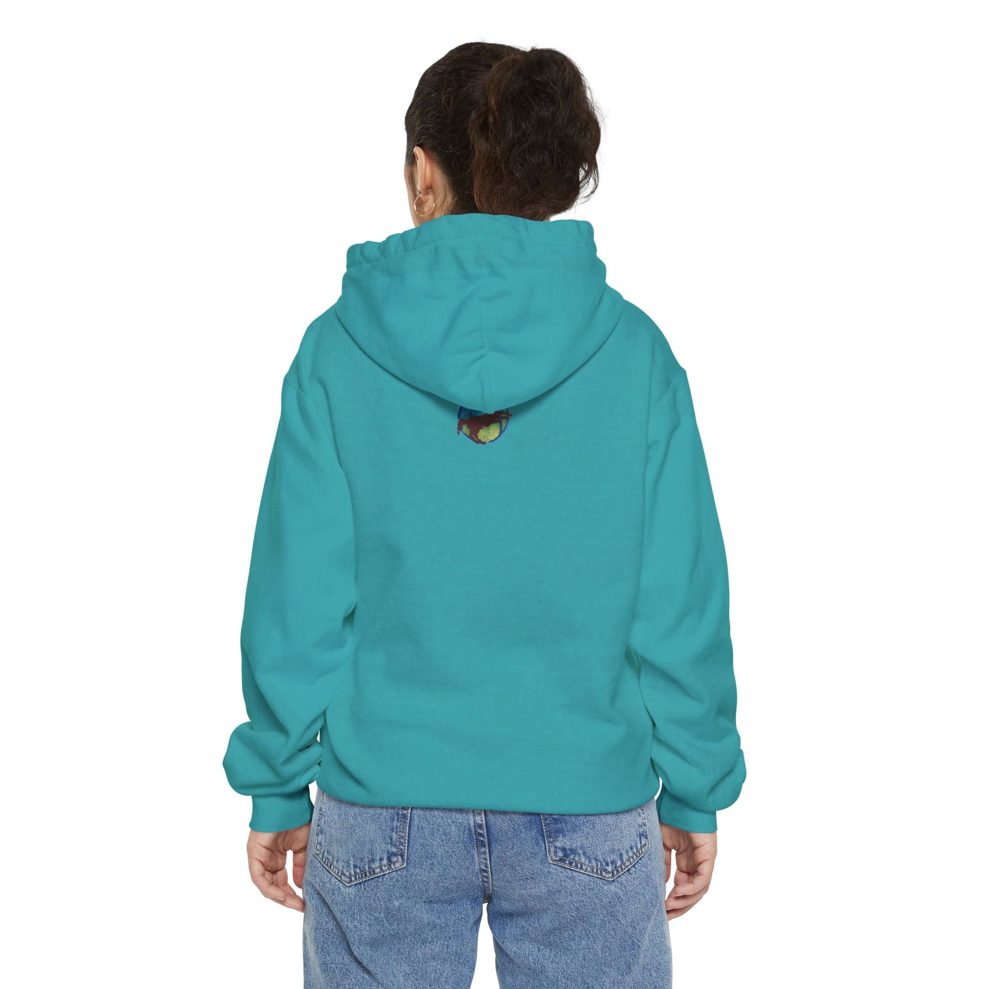 Unisex Garment - Dyed Hoodie Round Robin Design - Steel Pony